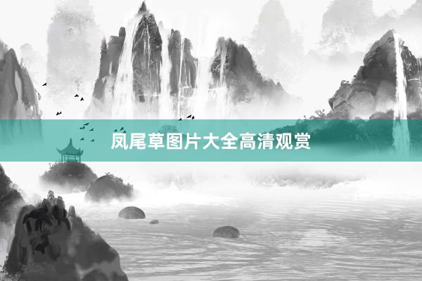 凤尾草图片大全高清观赏
