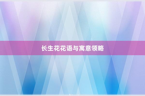 长生花花语与寓意领略