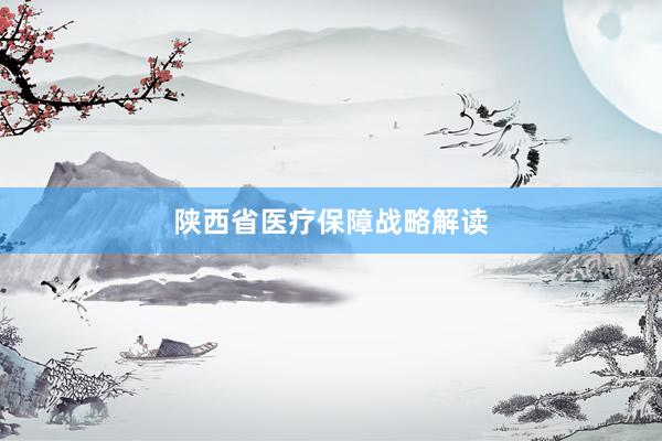 陕西省医疗保障战略解读
