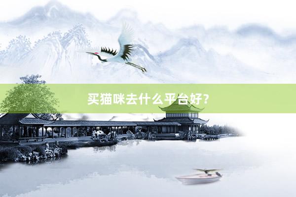买猫咪去什么平台好?