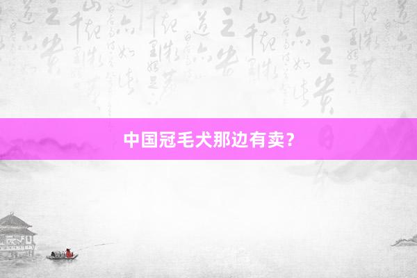 中国冠毛犬那边有卖？